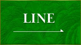 �����a�񃉃C��